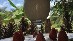 Ein Glas mit einem Getränk und einem Strohhalm, umgeben von Erdbeeren auf einem Teller, vor einer Kulisse aus Grünpflanzen und einem teilweise bewölkten Himmel.