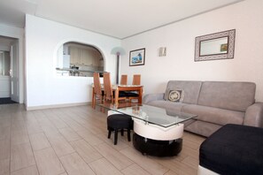 TV, DVD player, stereo, offices - Superb air-conditioned flat on the 7th floor facing the sea. (Nice)