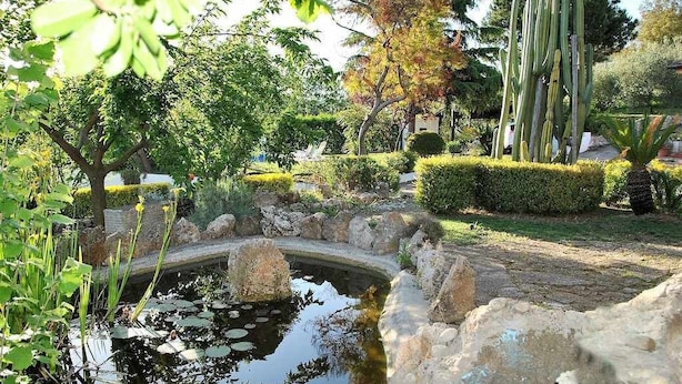 Un jardin avec un étang, différentes plantes et un cactus.