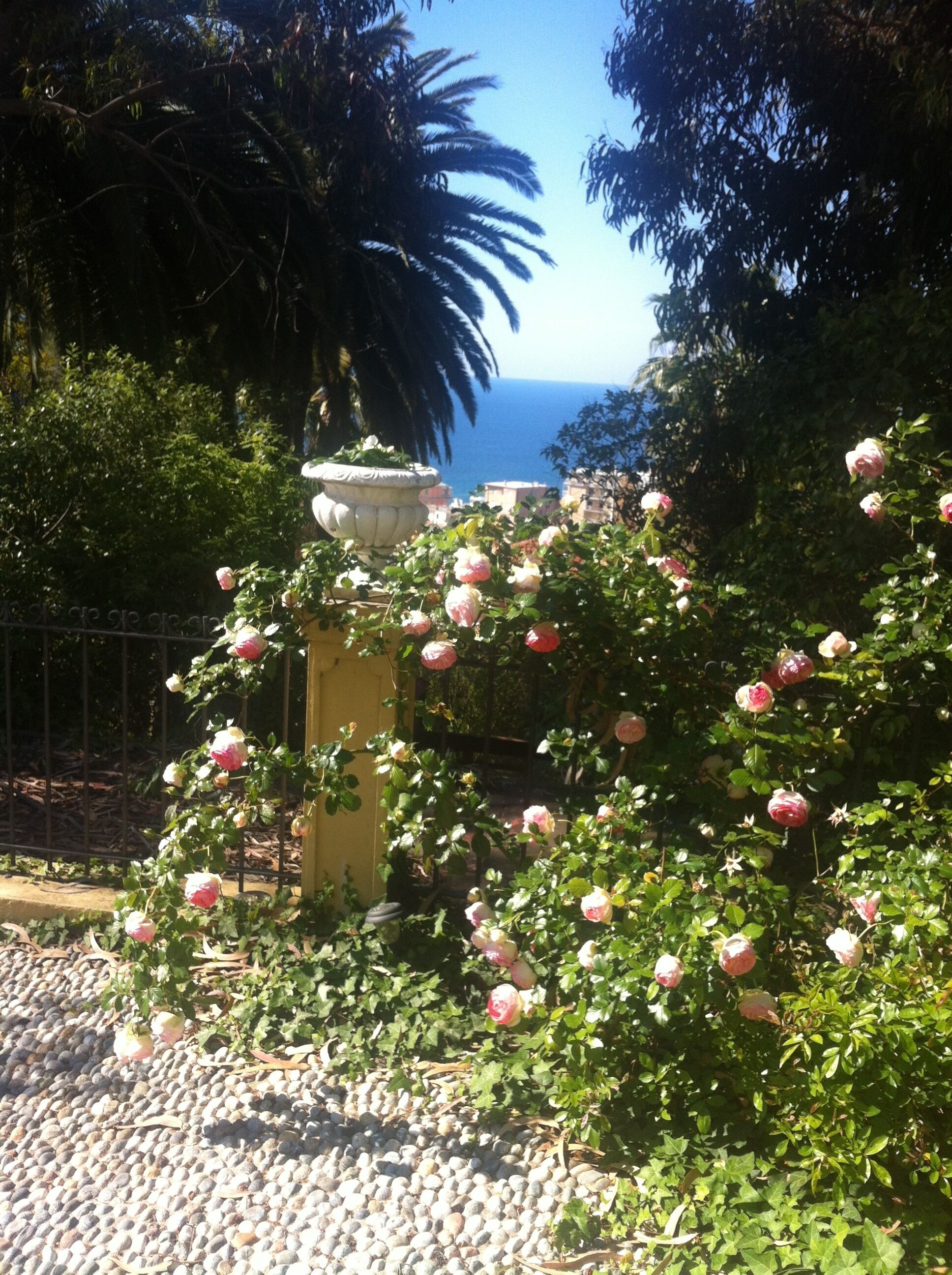 A garden with a fountain, surrounded by lush greenery and a view of the sea.