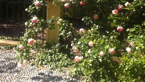 A garden with a fountain, surrounded by lush greenery and a view of the sea. - Sanremo: Apartment in Provencal villa with garden (Sanremo)
