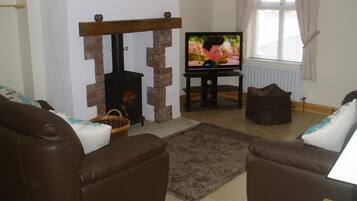 TV, fireplace, DVD player, books