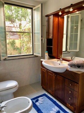 Combined shower/bathtub, hair dryer, bidet, towels