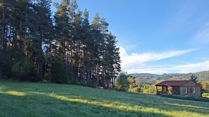 A grassy field with a small wooden cabin and a dense forest in the background. - chalet - Lapte (Lapte)