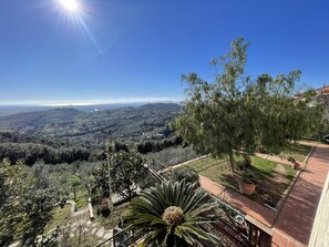 Property grounds - Campiglia Marittima: Apartment/ flat - Campiglia Marittima (Campiglia Marittima)