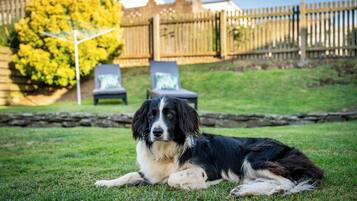 Área da propriedade