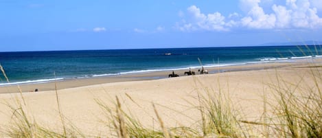Nær stranden