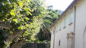 A building with a white facade and a large tree in front. - Flat with loggia in a charming 18th century family estate, quiet, with independant entrance. (Hyères)