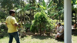 Property grounds - Homely Guest (Habarana)