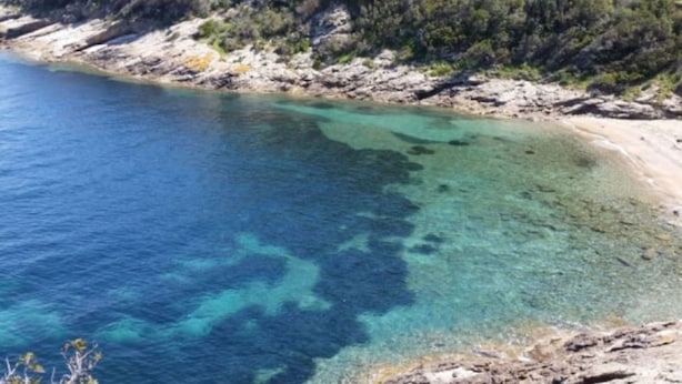 A coastal landscape with clear turquoise waters, rocky shoreline, and dense vegetation. - Casa Serena - SERENA E (Capoliveri)