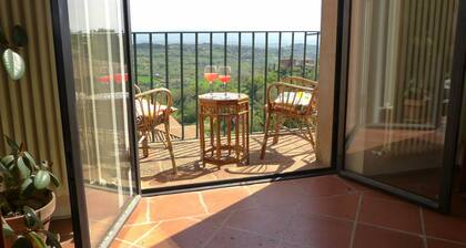 Each window is a painting in the heart of Perugia.