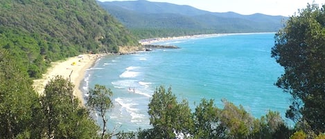 靠近海滩