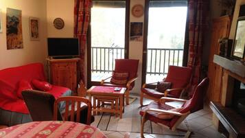 TV, fireplace, DVD player, books
