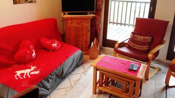 Televisor, llar de foc, reproductor de DVD i llibres