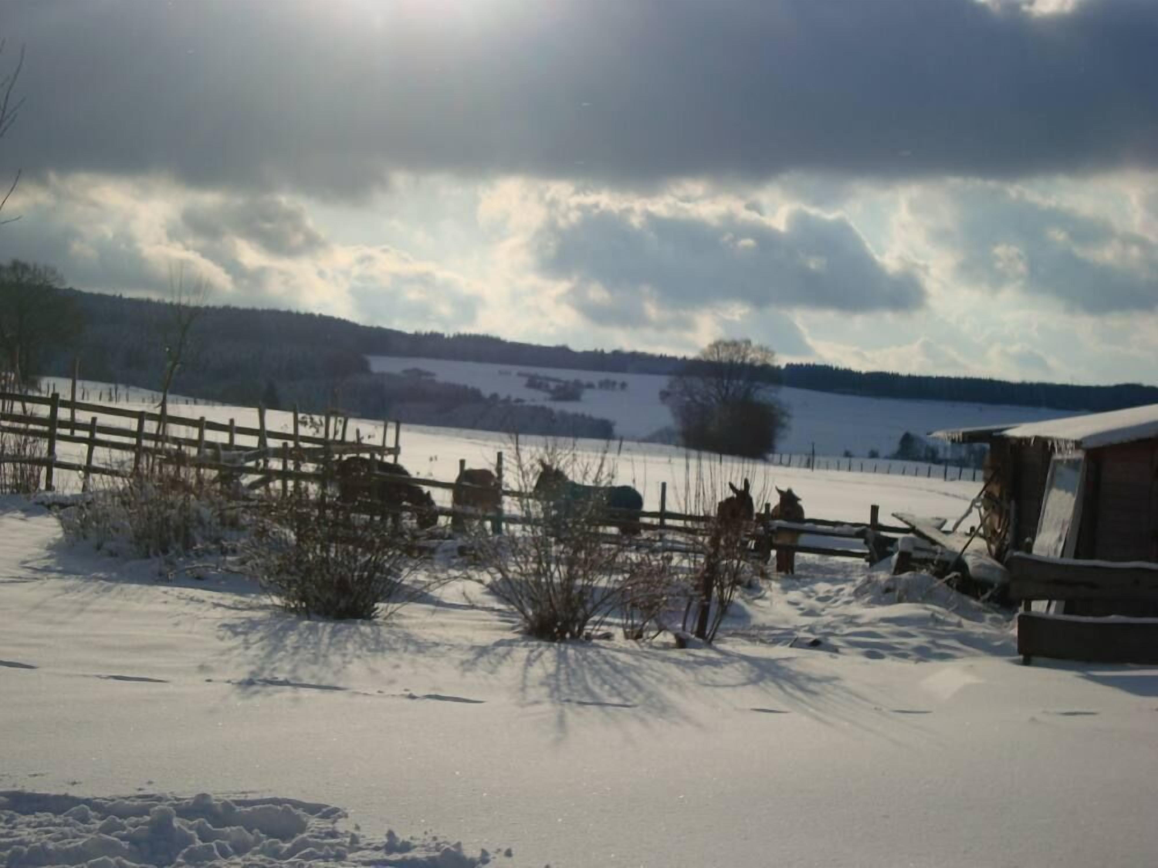 Un paisaje nevado con una valla de madera, una pequeña construcción de madera y un sendero que atraviesa la nieve.