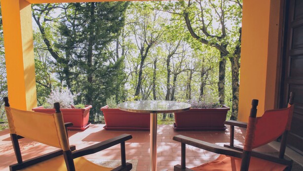 Un patio con una mesa redonda y cuatro sillas, rodeado de plantas en macetas y vistas a árboles.