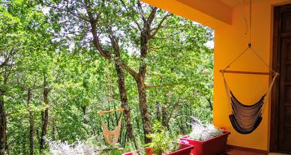 Casa de huéspedes ideal para familias y amantes de la naturaleza.