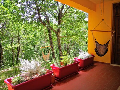 Casa de huéspedes ideal para familias y amantes de la naturaleza.