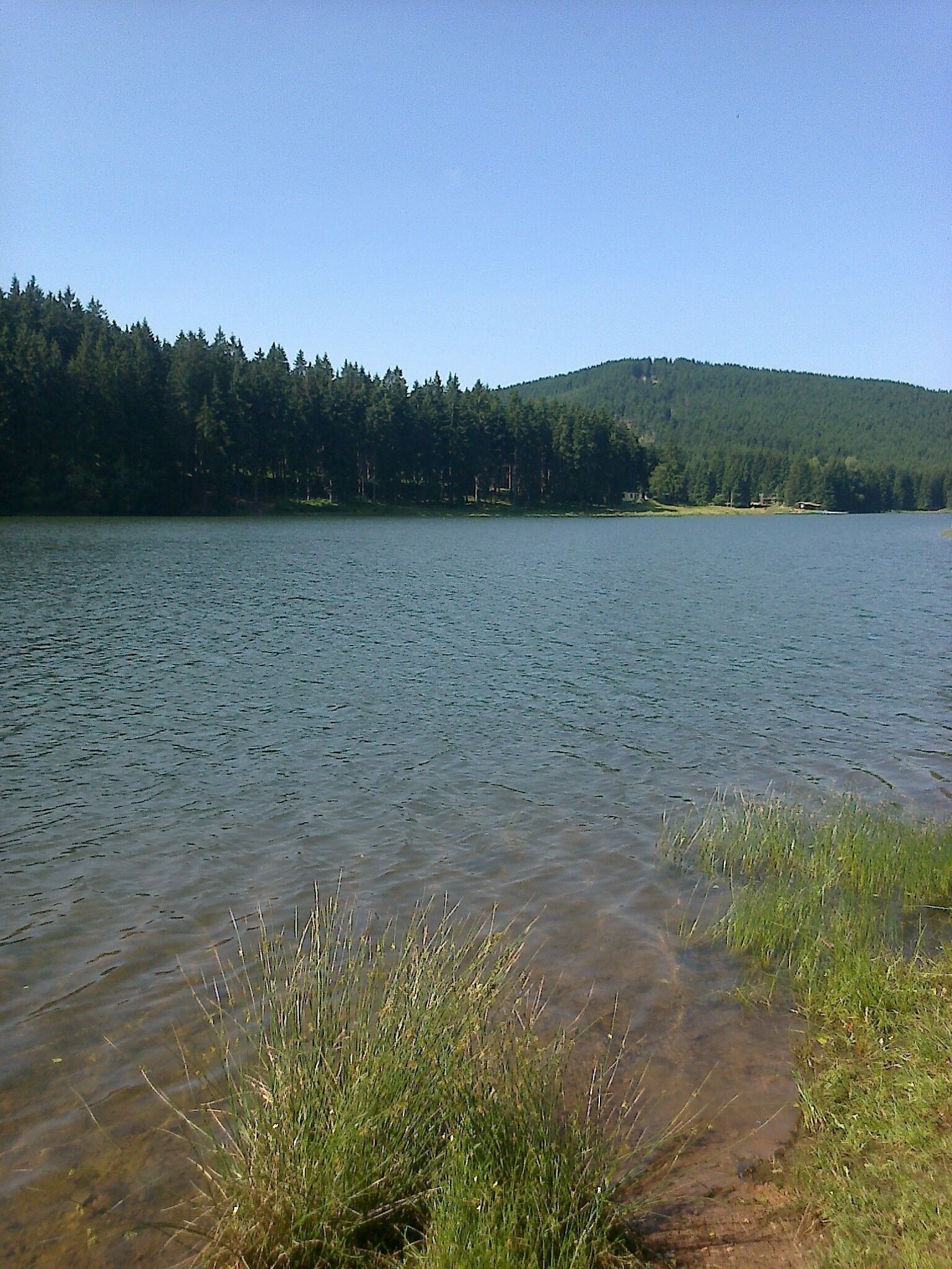 Un lac aux eaux limpides, entouré d’une forêt dense et avec une colline en arrière-plan.