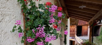 Farm holidays with friendly animals animals welcome