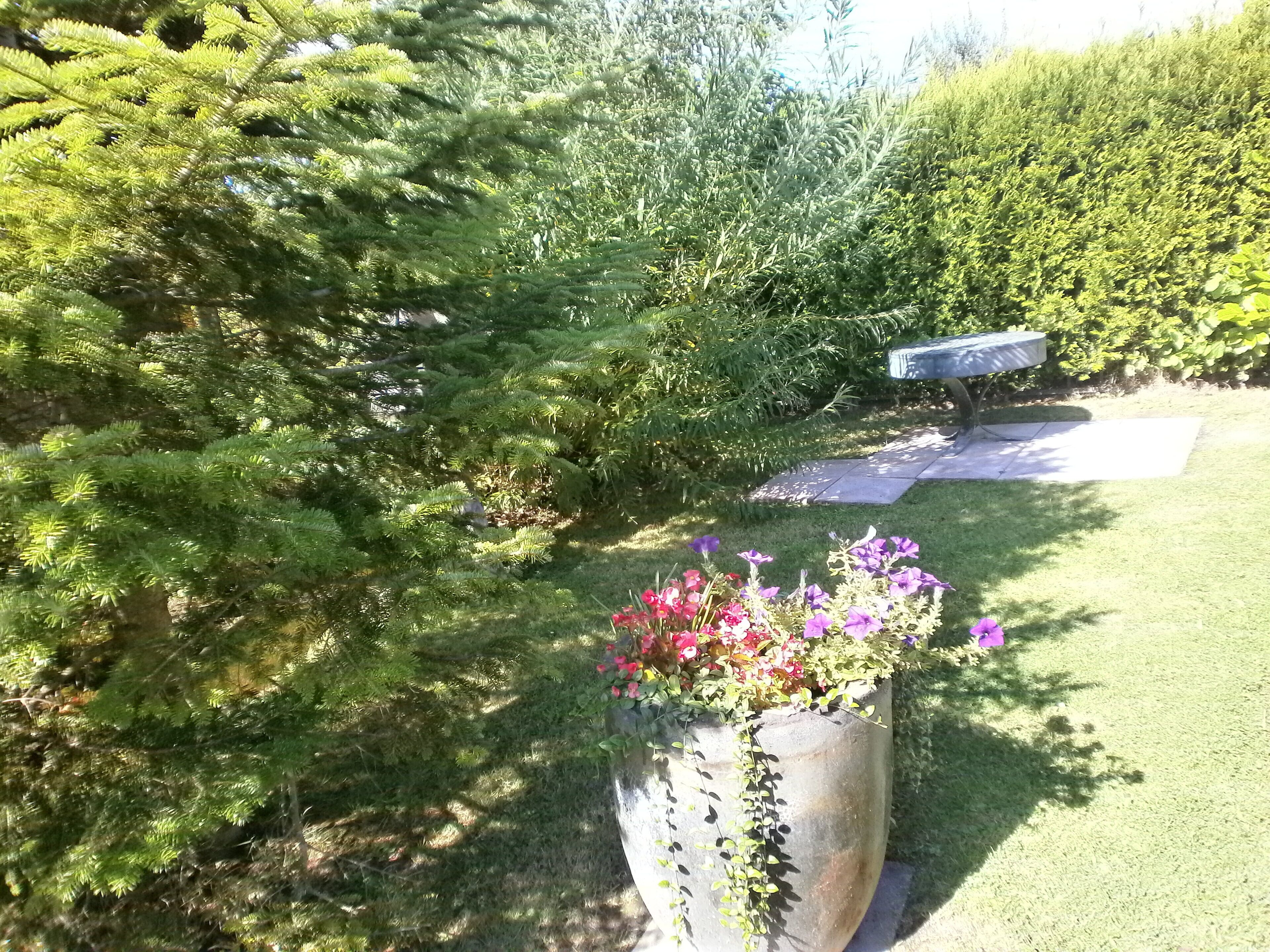 A garden with a large planter filled with flowers, a bench, and dense greenery.