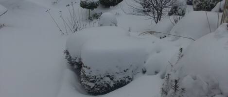 Een besneeerd landschap met grote, met sneeuw bedekte rotsen en schaarse begroeiing.