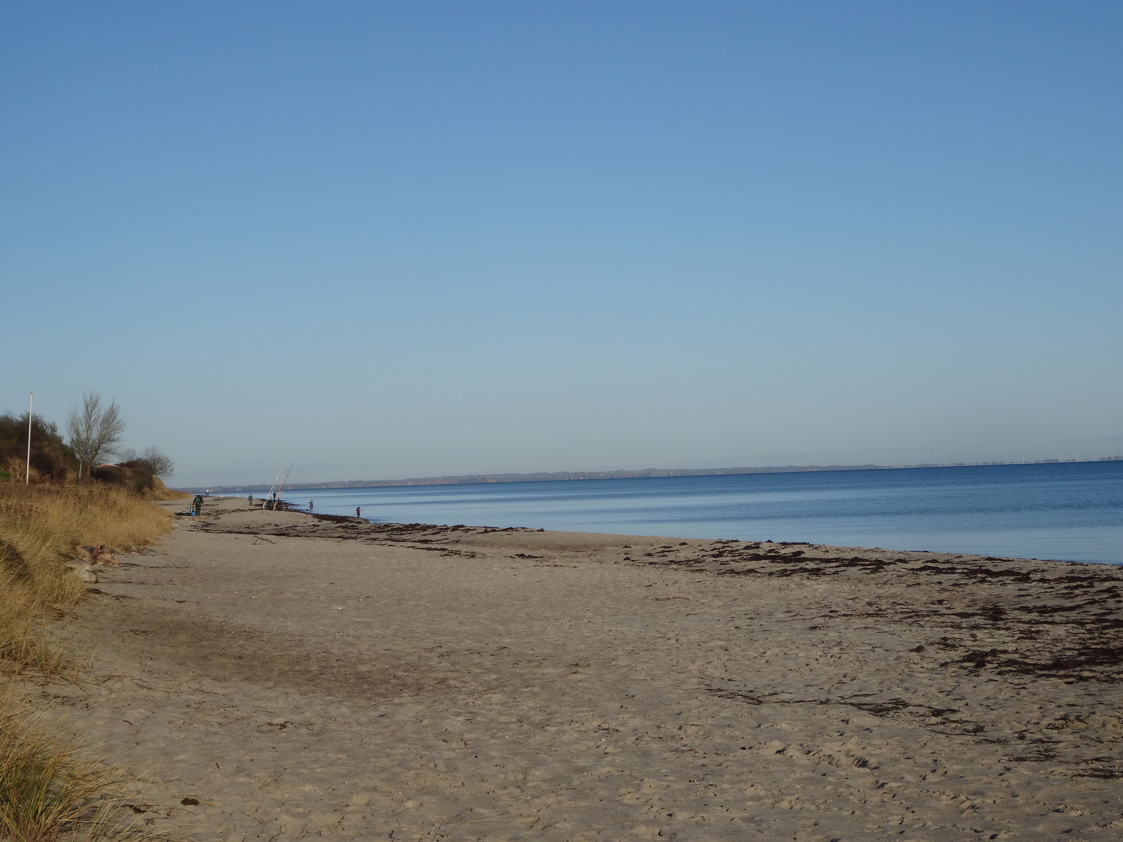 Une plage avec un ciel dégagé, un sentier sablonneux et une mer calme.