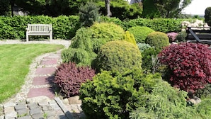 Un jardin avec un sentier en pierre, des arbustes de formes variées et un banc.