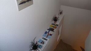 Un couloir avec un présentoir mural où sont exposées des brochures et une photographie encadrée.
