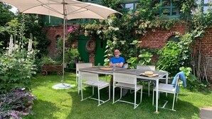 Eine Terrasse mit Tisch und Stühlen, einem großen Sonnenschirm und einer Ziegelwand mit Grünpflanzen.