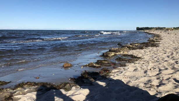 Ein Sandstrand mit Wellen, Seegras und blauem Himmel.