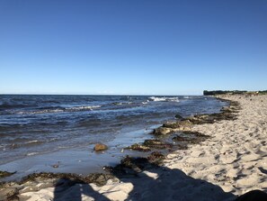 Una platja sorrenca amb ones, algues i un cel serè.