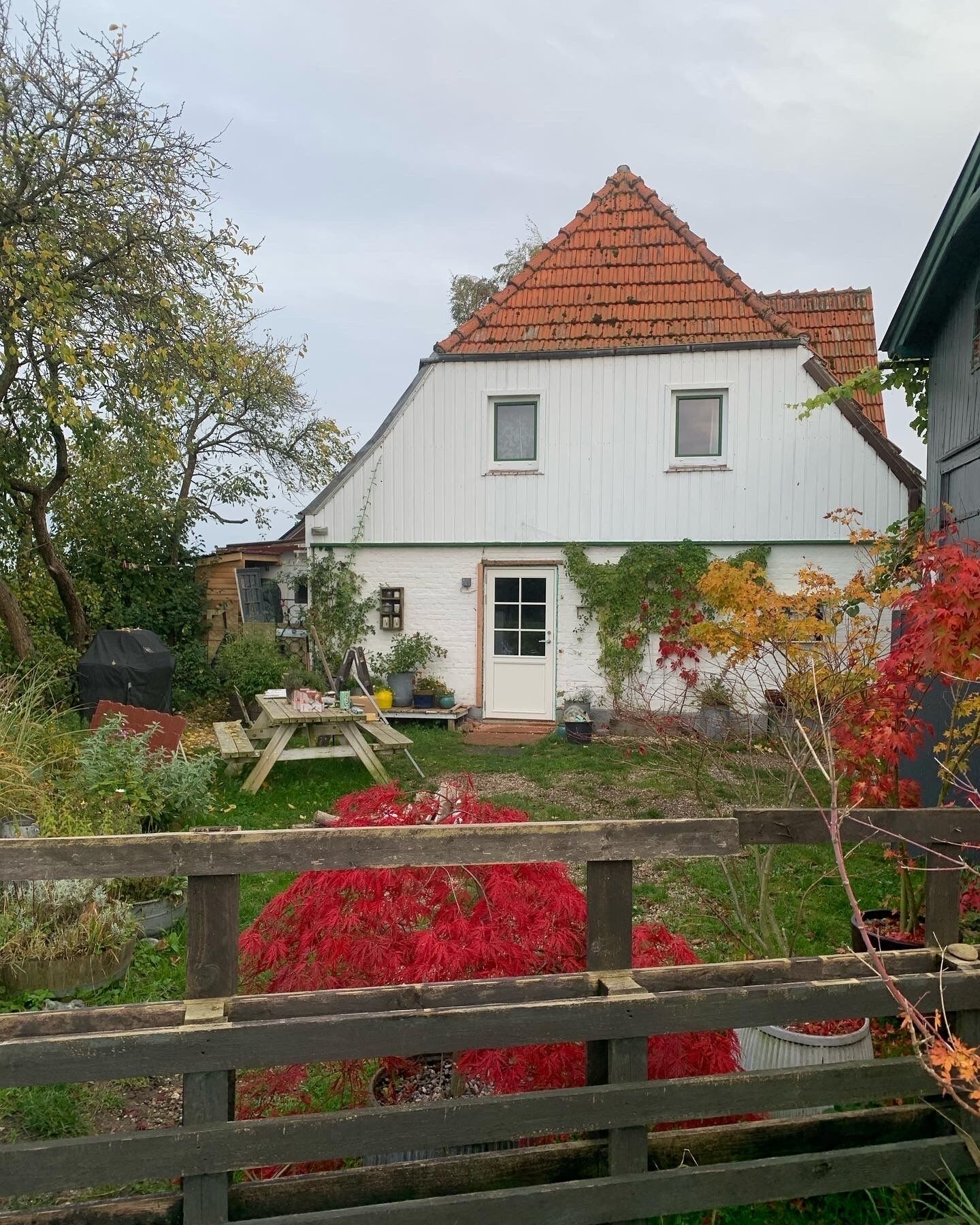 A white house with a red-tiled roof, a wooden fence, and a garden with red foliage.