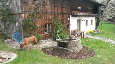 secluded, 300 year old landmarked Holiday Home, renovated