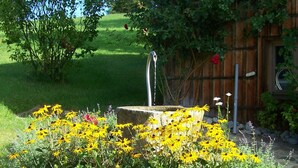 A garden with a water fountain, surrounded by yellow flowers and a wooden fence. - secluded, 300 year old landmarked Holiday Home, renovated (Bayern)