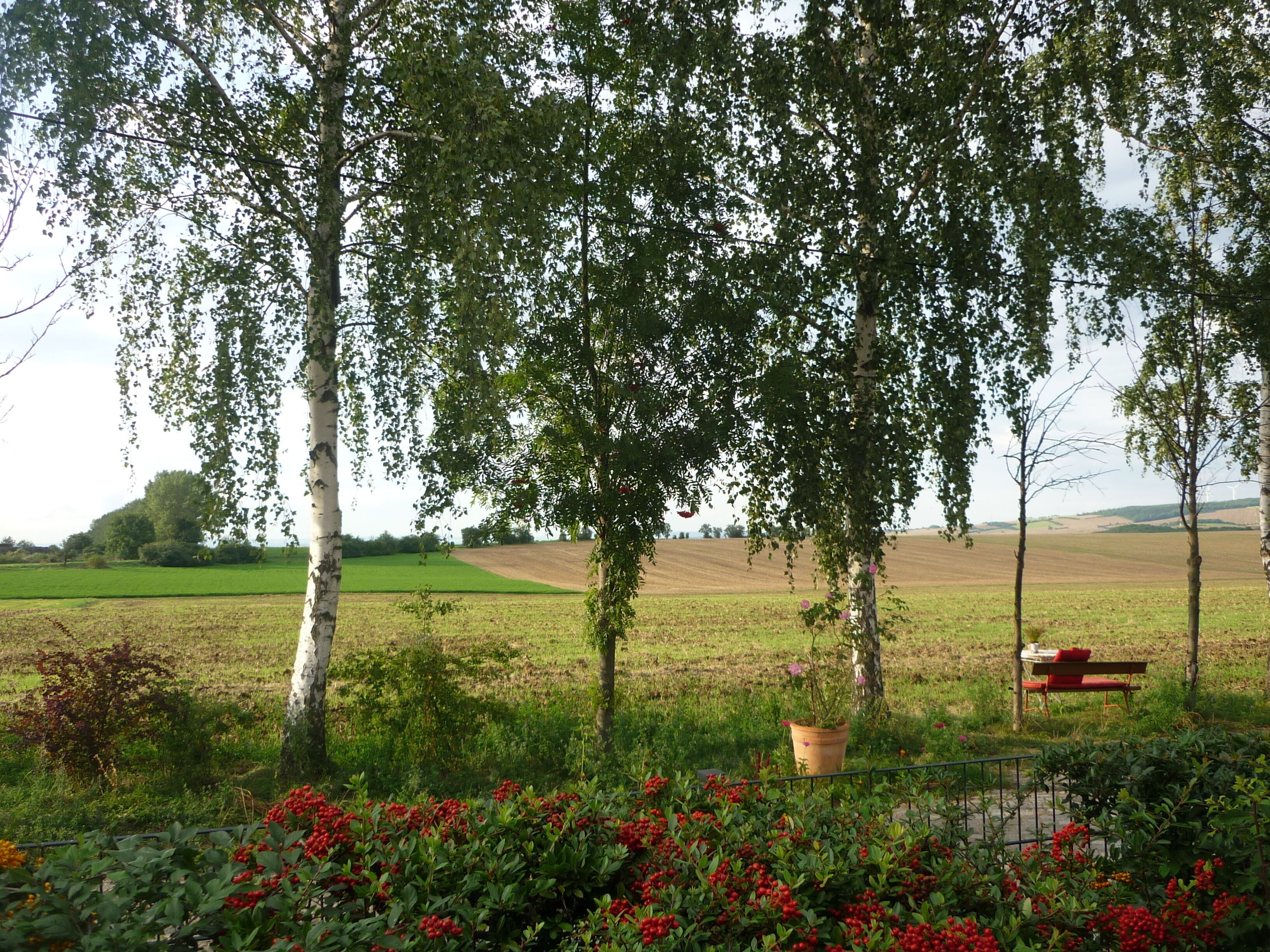 Áreas de la propiedad