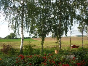Paisaje rural con árboles, un banco y un campo.
