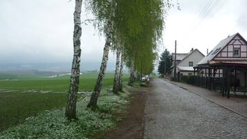 A cobblestone street lined with birch trees and traditional houses.