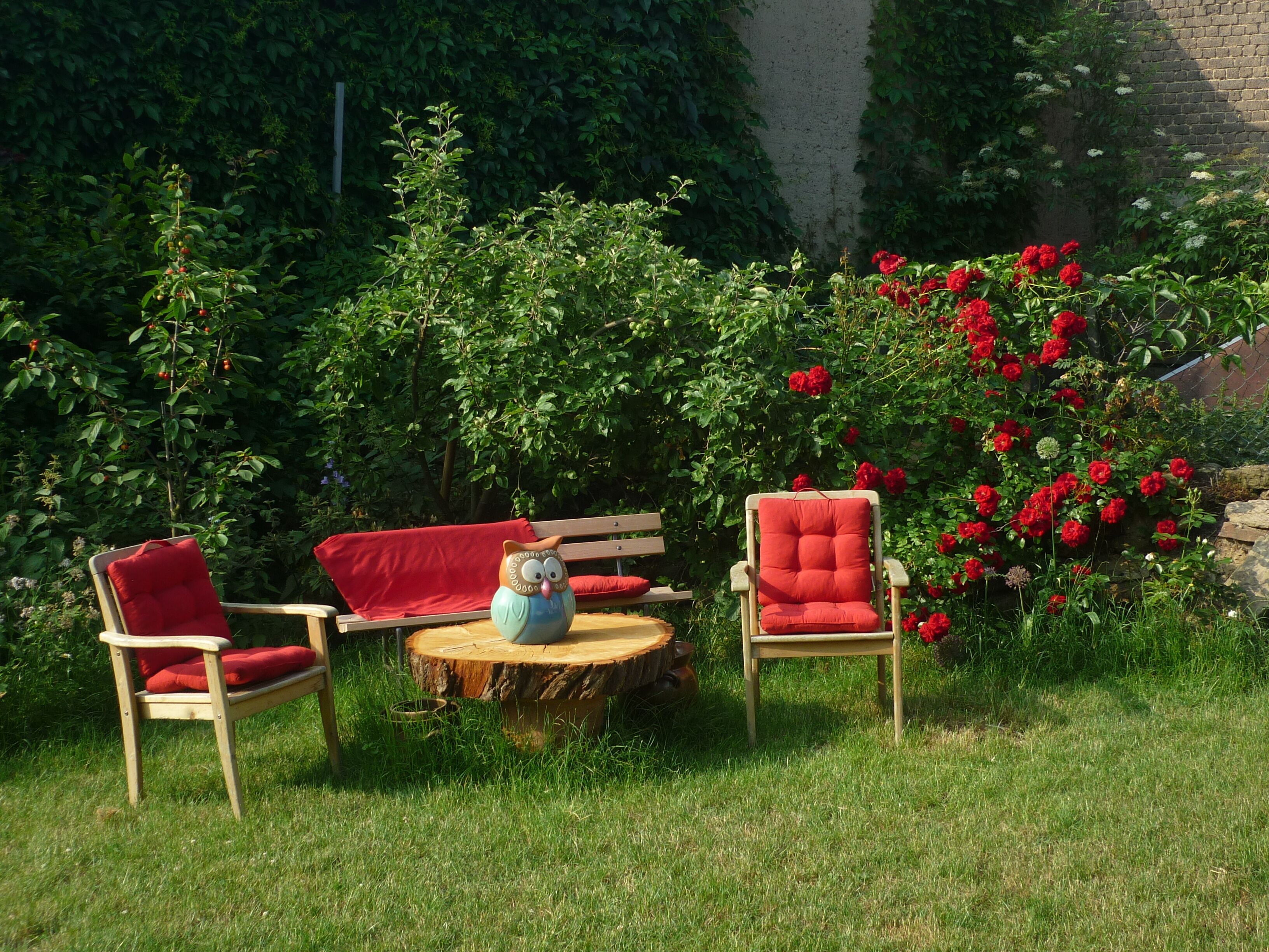A garden with two red chairs and a wooden table, surrounded by lush greenery and red flowers.