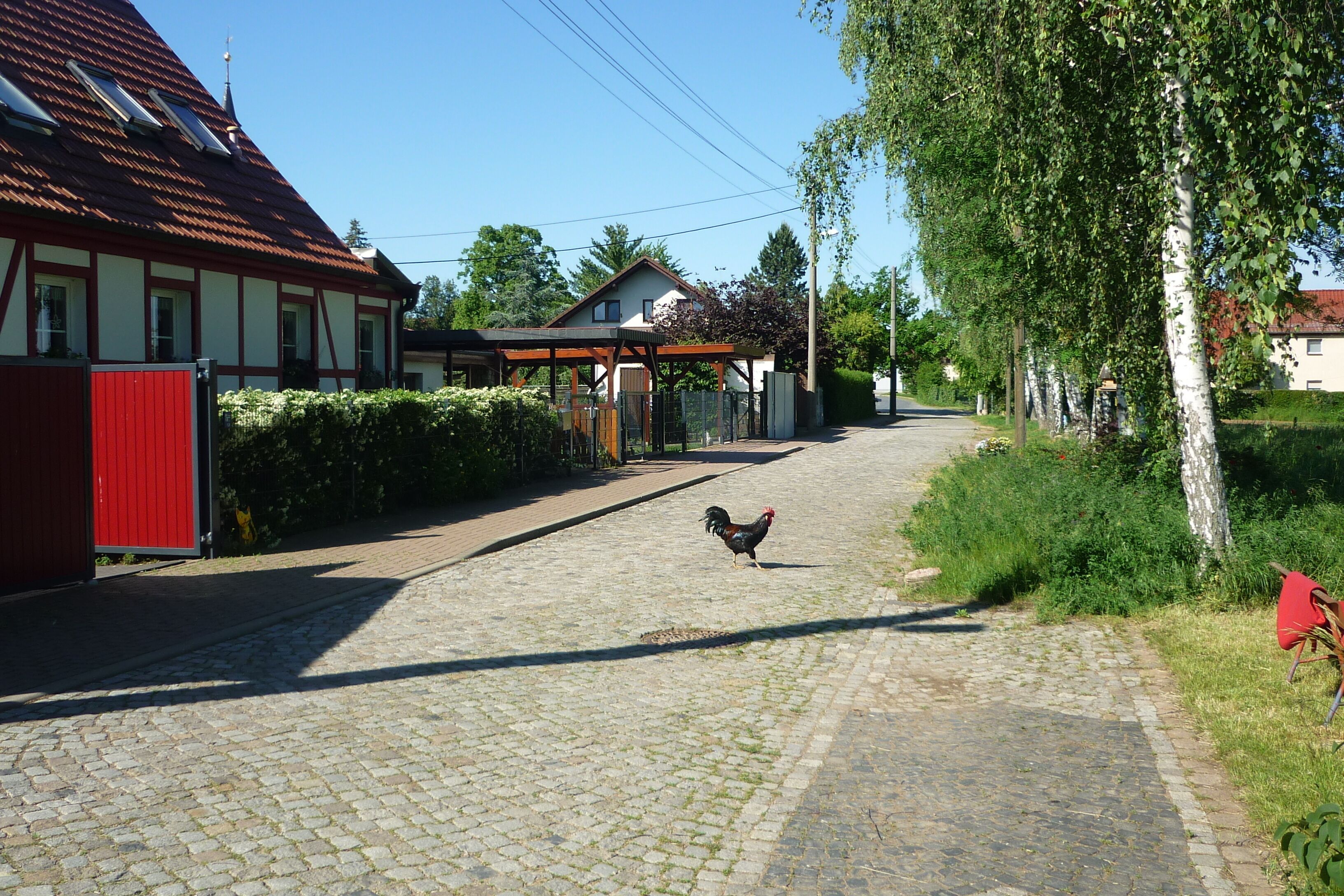 Une rue pavée où un coq se promène, des maisons aux couleurs vives avec des bordures rouges et blanches, et un espace abrité avec une chaise rouge.