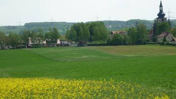 A rural landscape with a field of yellow flowers, a church, and residential buildings.