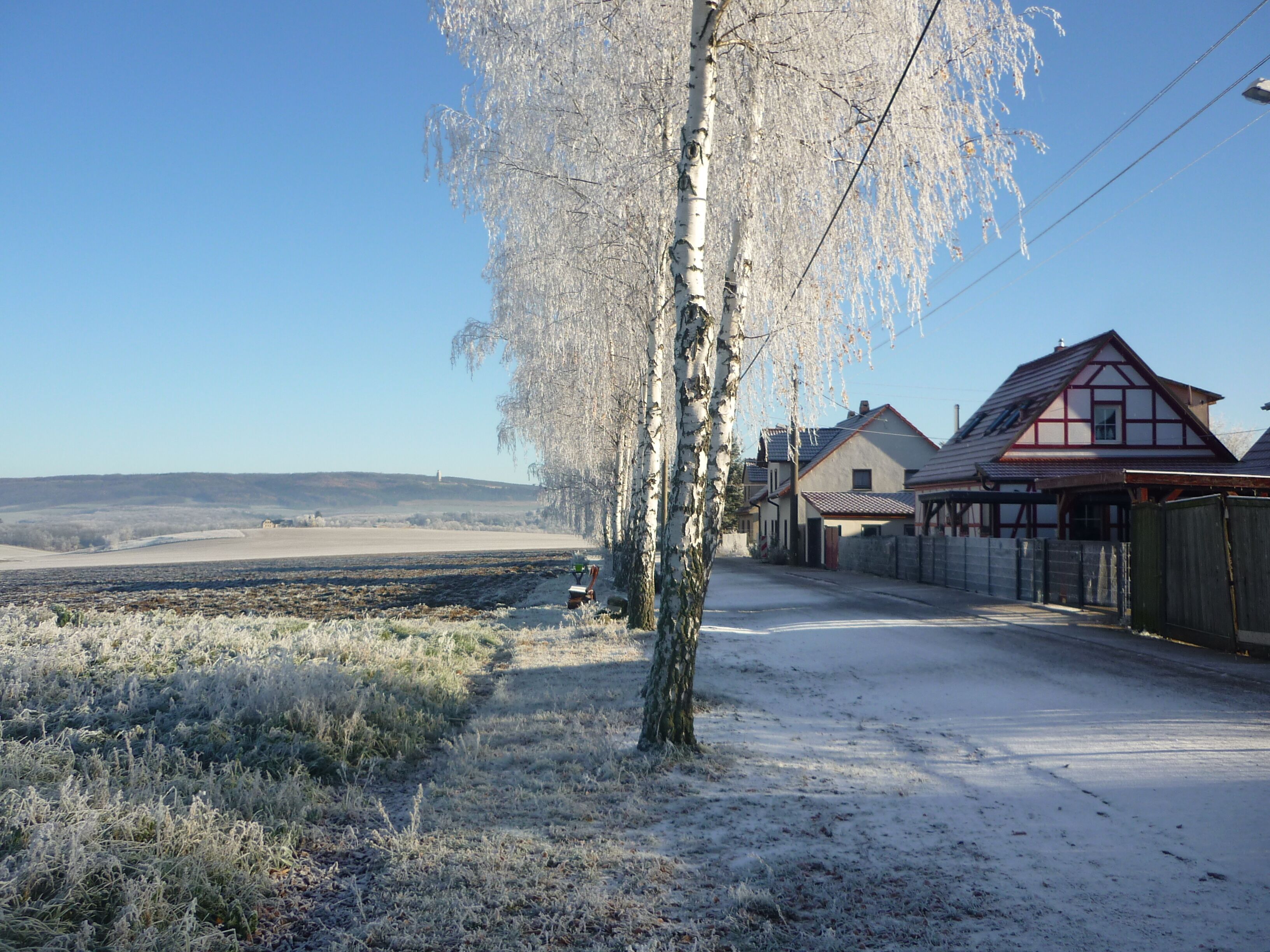 A rural street with snow-covered ground, a birch tree, and traditional houses.