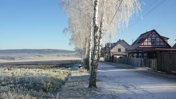 A rural street with snow-covered ground, a birch tree, and traditional houses.