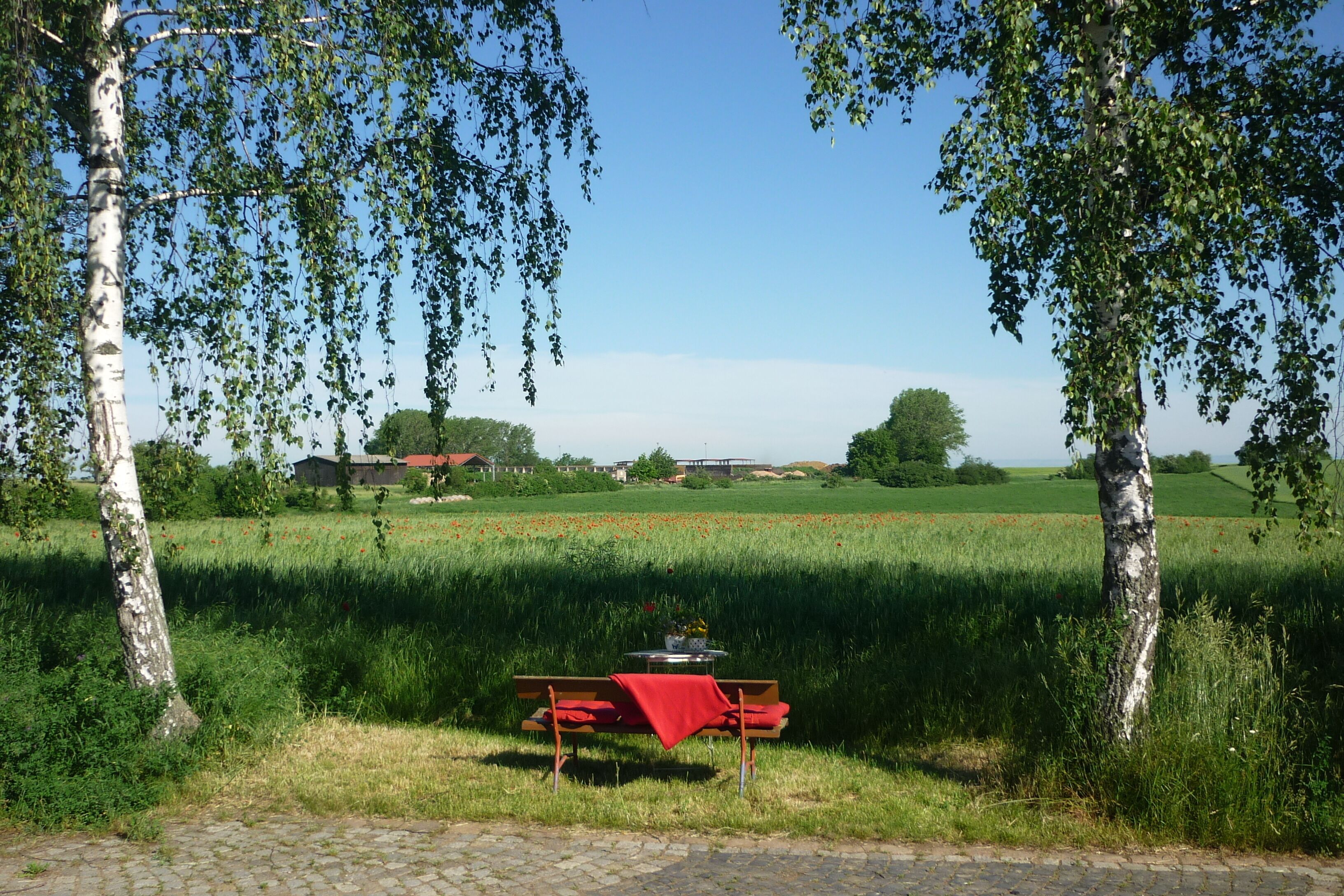 A bench with a red cloth, surrounded by trees and a field.