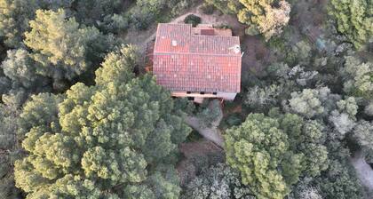 Côte d'Azur villa with stunning sea views for rent on the Giens Peninsula