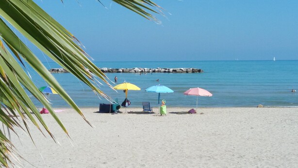 Une plage avec des parasols, un ciel dégagé et une eau calme.