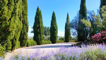 Parco della struttura