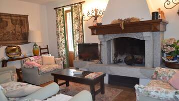 TV, fireplace
