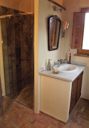 Combined shower/tub, hair dryer, bidet, towels