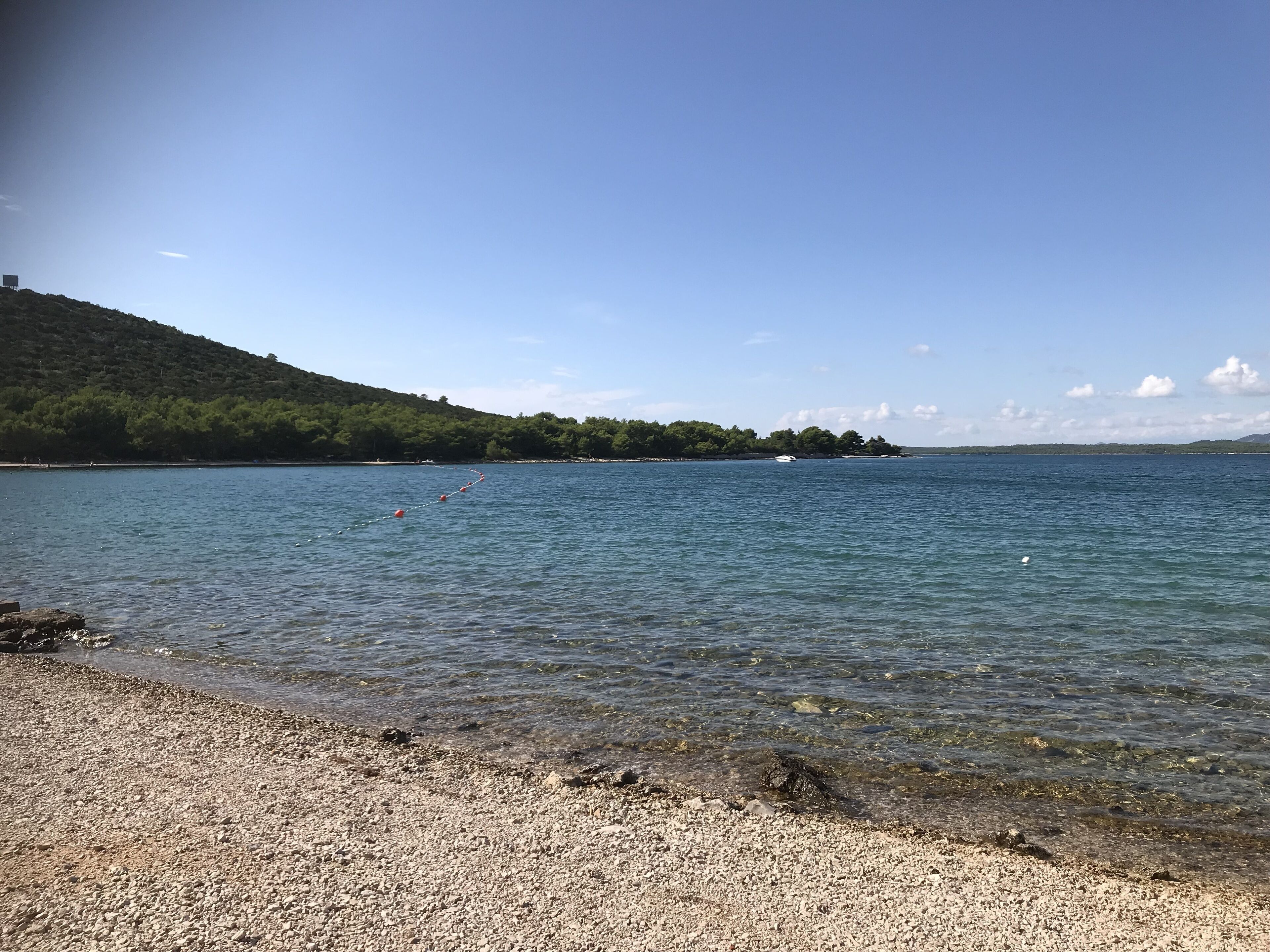 On peut clairement apercevoir une plage de galets qui descend vers une étendue d’eau calme, avec une colline boisée en arrière-plan.